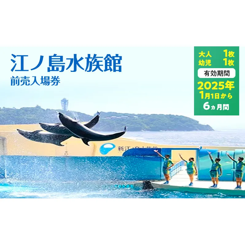 チケット 神奈川 【新江ノ島水族館】前売入場券（大人1枚、幼児1枚）有効期間2025年1月1日～6ヵ月間 水族館 前売 入場券 江ノ島 藤沢市 神奈川県 プレゼント ギフト