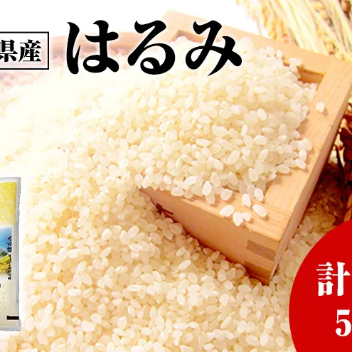 神奈川県産はるみ 5kg×1 白米 精米 米 はるみ 藤沢市 神奈川