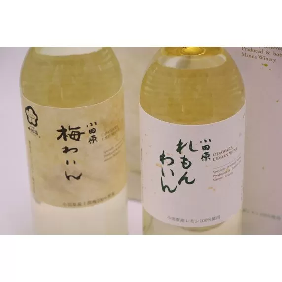 城下町小田原の飲み比べわいんＡセット(2本セット)