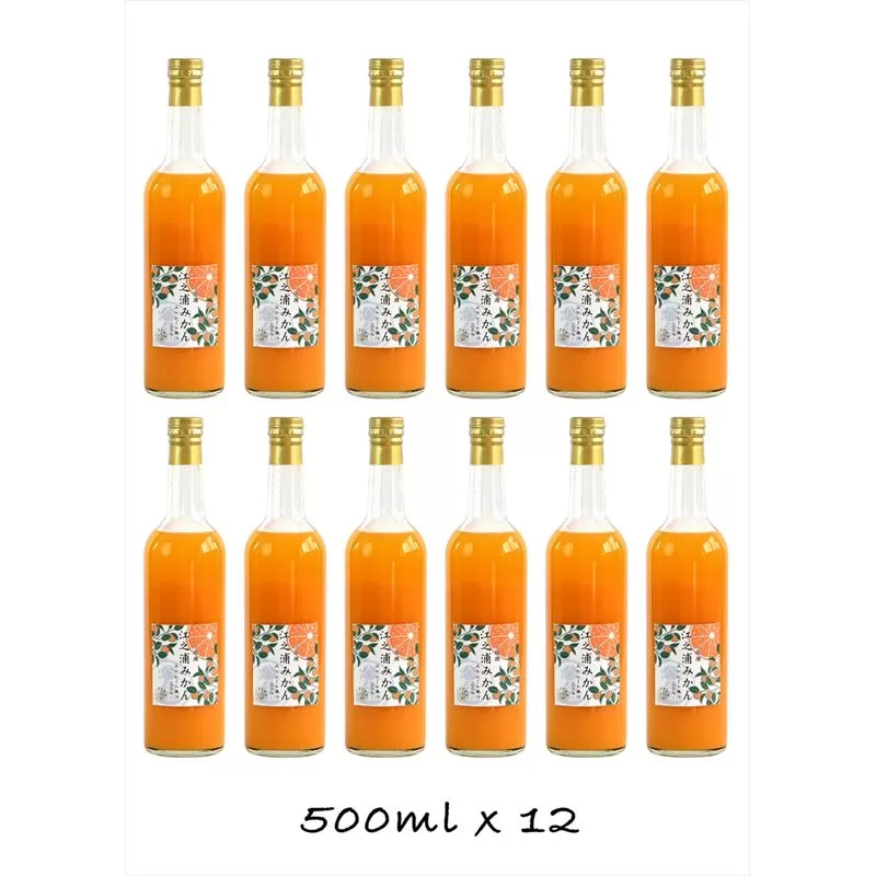 定期便（2カ月ごと全4回）小田原産江之浦みかん１００％ストレートジュース５００ml１２本【 神奈川県 小田原市 】