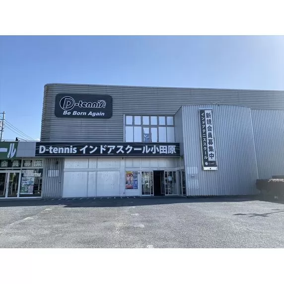 D-テニス小田原　会員限定　プラスワンチケット　土日ナイター　１枚　一般