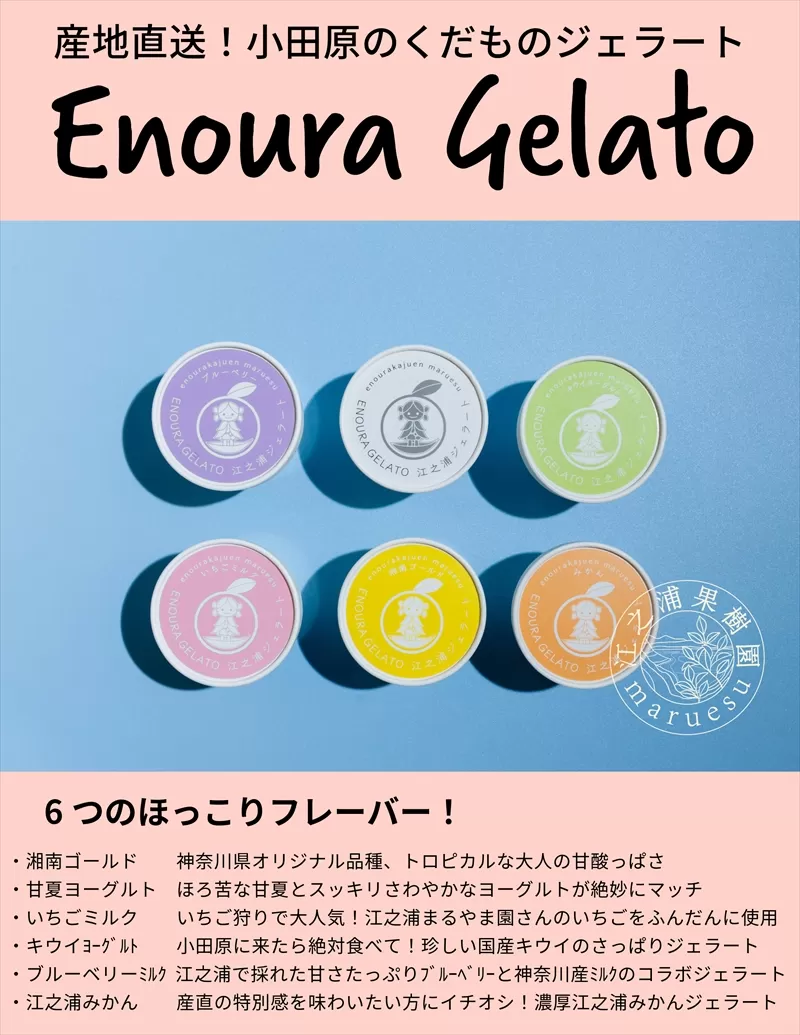 定期便（2カ月ごと全３回）小田原産江之浦ジェラート６種（みかん、湘南ゴールド、ブルーベリーミルク、いちごミルク、キウイヨーグルト、甘夏ヨーグルト）120mlカップ各１個合計６個【 神奈川県 小田原市 】