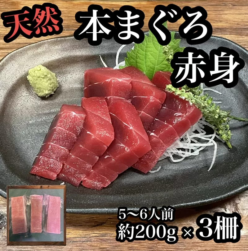 貴重な天然本鮪 赤身 約200g×3柵 約5〜６人前●マグロの中心部天身を使用！【赤身 天身 惣菜 海鮮 お取り寄せ 御中元 お中元 お歳暮 父の日 母の日 贈り物 日本酒 焼酎】【神奈川県小田原市早川】