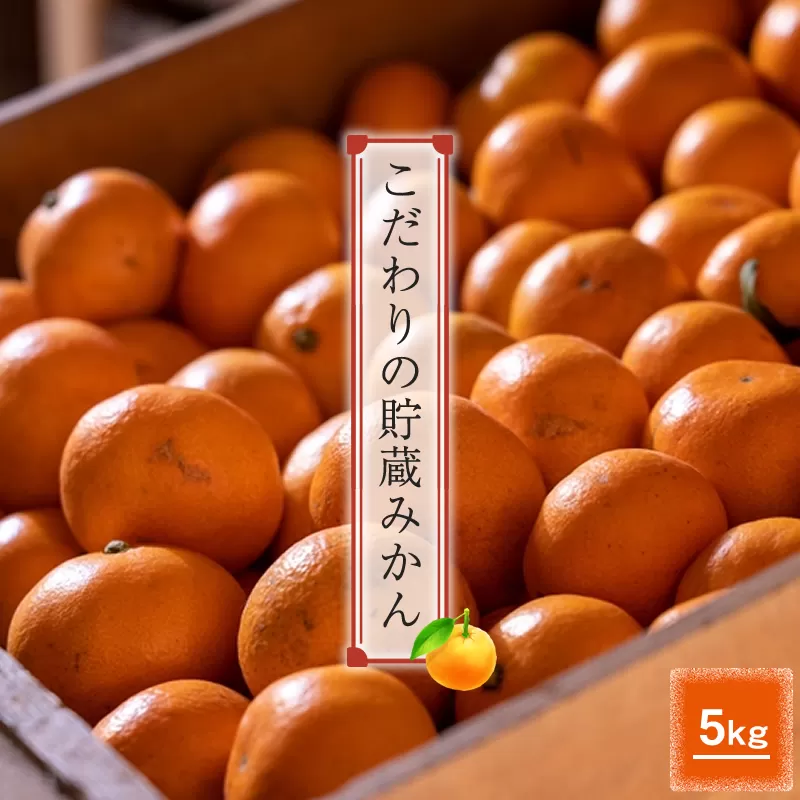 ＜品種厳選＞こだわりの貯蔵みかん　5キロ＜2024年12月20日出荷開始～2025年2月28日出荷終了＞【 みかん 神奈川県 小田原市 】