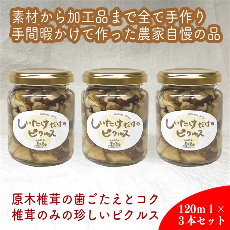 しいたけだけのピクルス 3個セット【 家庭用 自宅用 贈答品 贈答用 ギフト お取り寄せ お中元 お歳暮 贈り物 お祝い 神奈川県 小田原市 】