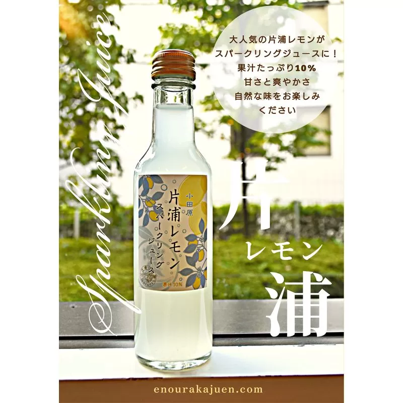 小田原産片浦レモンスパークリングジュース果汁１０％２００ml３０本