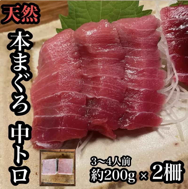 貴重な天然本鮪 中トロ 約200g 2柵　約3〜4人前●くどくない上質な脂が美味しい！【とろ マグロ 惣菜 海鮮 お取り寄せ 御中元 お中元 お歳暮 父の日 母の日 贈り物 日本酒 焼酎】【神奈川県小田原市早川】