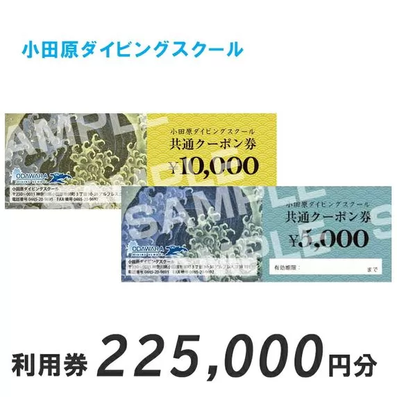 小田原ダイビングスクール 共通クーポン券 225,000円分