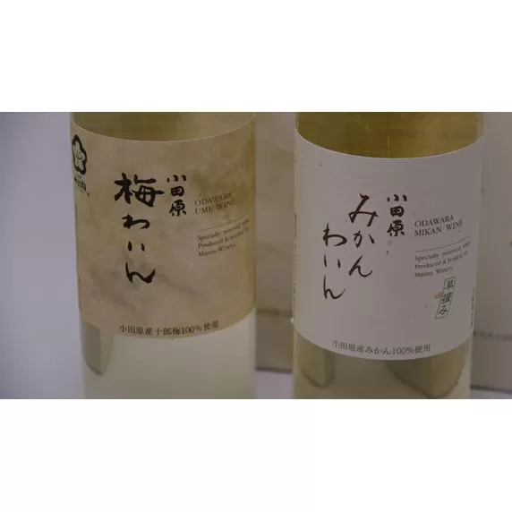 城下町小田原の飲み比べわいんBセット（2本セット)