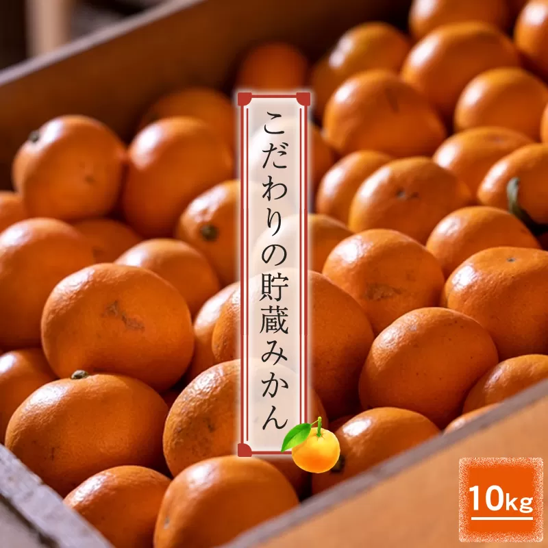 ＜品種厳選＞こだわりの貯蔵みかん　10キロ＜2024年12月20日出荷開始～2025年2月28日出荷終了＞【 みかん 神奈川県 小田原市 】