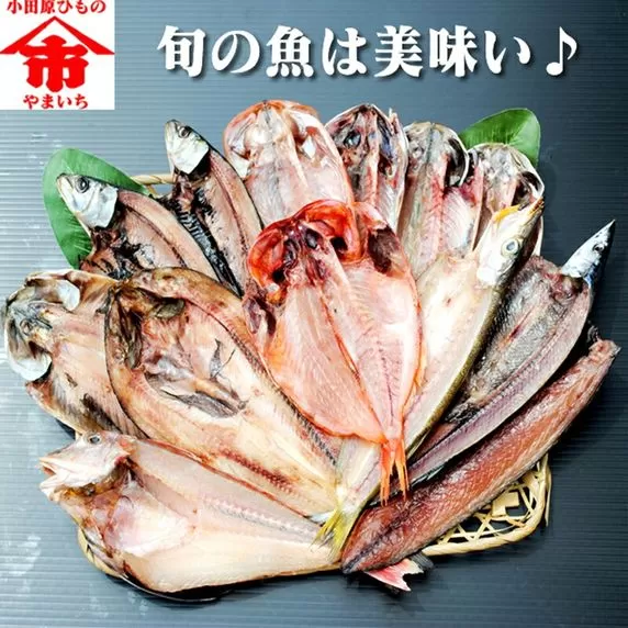 おまかせ干物セット 3倍セット【 惣菜 おかず 魚 ひもの 神奈川県 小田原市】