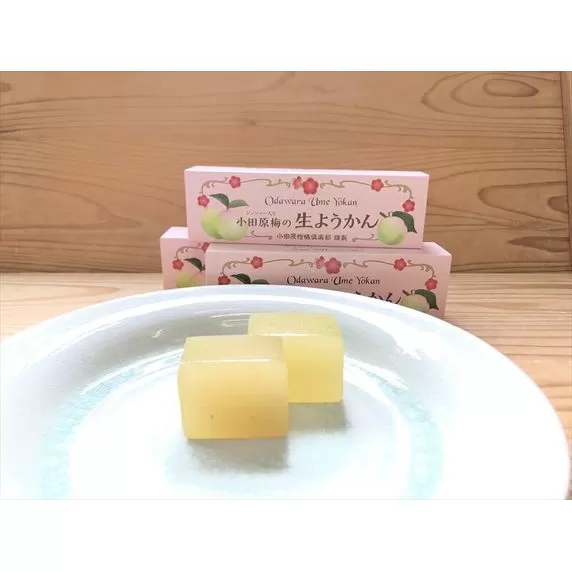 小田原老舗和菓子店の手づくり小田原梅の生ようかん【 お菓子 スイーツ 神奈川県 小田原市 】