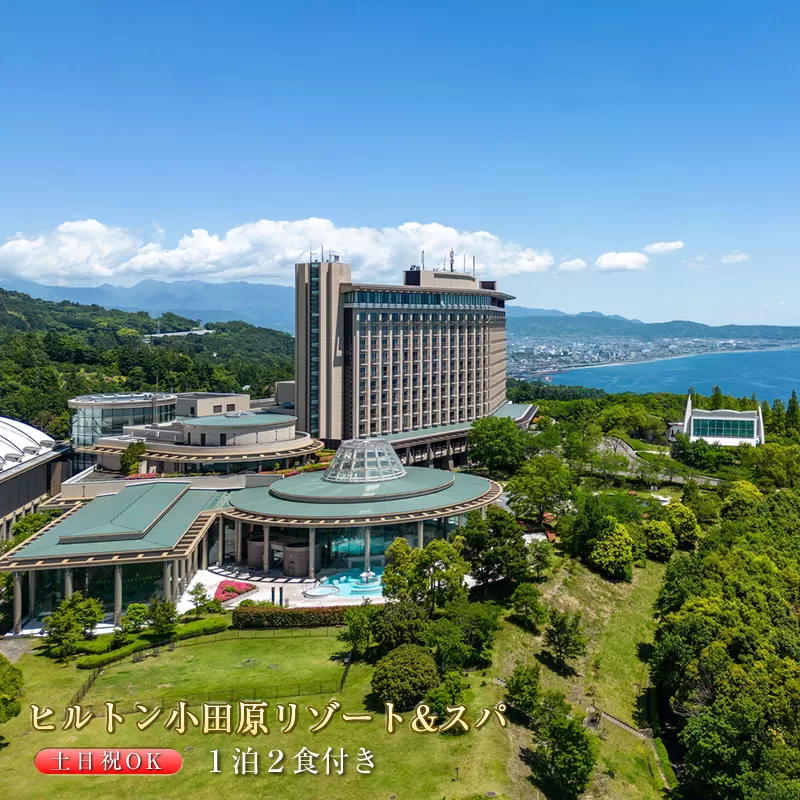 土日祝宿泊OK!　ヒルトン・スーペリア・ツインルーム宿泊プラン　1泊夕朝食付き＜1組2名様＞★オーシャンビュー！天然温泉大浴場、プール施設利用含む