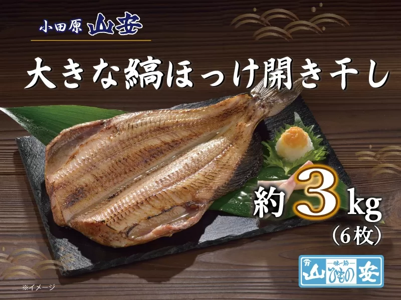 【小田原　山安】大きな縞ほっけ開き干し　約３ｋｇ（６枚）【 干物 神奈川県 小田原市 】