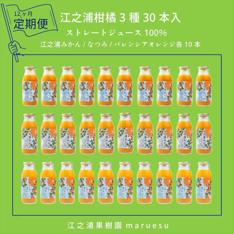 定期便１２回 小田原産江之浦みかんジュース３種のみくらべ３０本セット うんしゅう・なつみ・バレンシアオレンジ１００％ストレートジュース１８０ml各１０本合計３０本【 神奈川県 小田原市 】