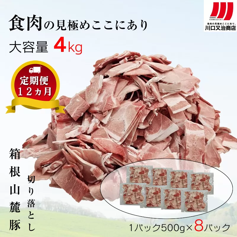 【定期便12ヵ月】箱根山麓豚　モモ・ウデ切り落とし４K盛り(500ｇ×８パック)【 箱根山麓豚 切り落とし 神奈川県 小田原市 】