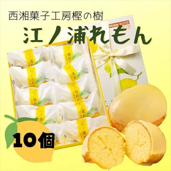 西湘菓子工房樫の樹　江ノ浦れもん10個入りギフト 【 お菓子 スイーツ 神奈川県 小田原市 】