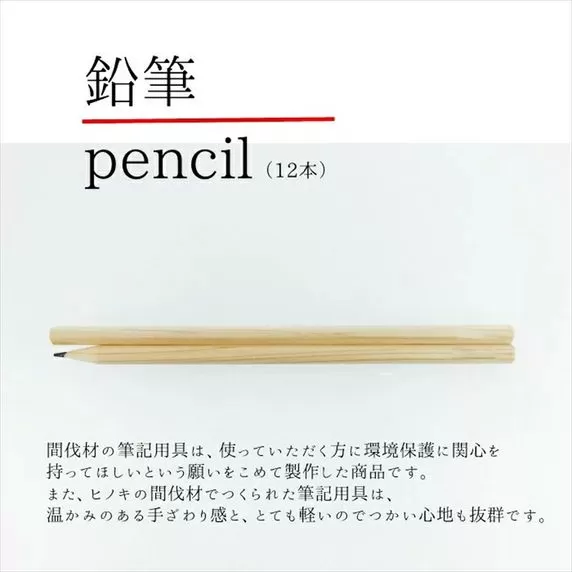 小田原・箱根の間伐材 ヒノキの鉛筆12本_109054★書写　書き方　2B　新1年生【 神奈川県 小田原市 】