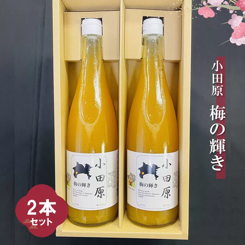 小田原 梅の輝き720ML瓶（梅ドリンク）2本セット【 飲み物 ドリンク 神奈川県 小田原市 】