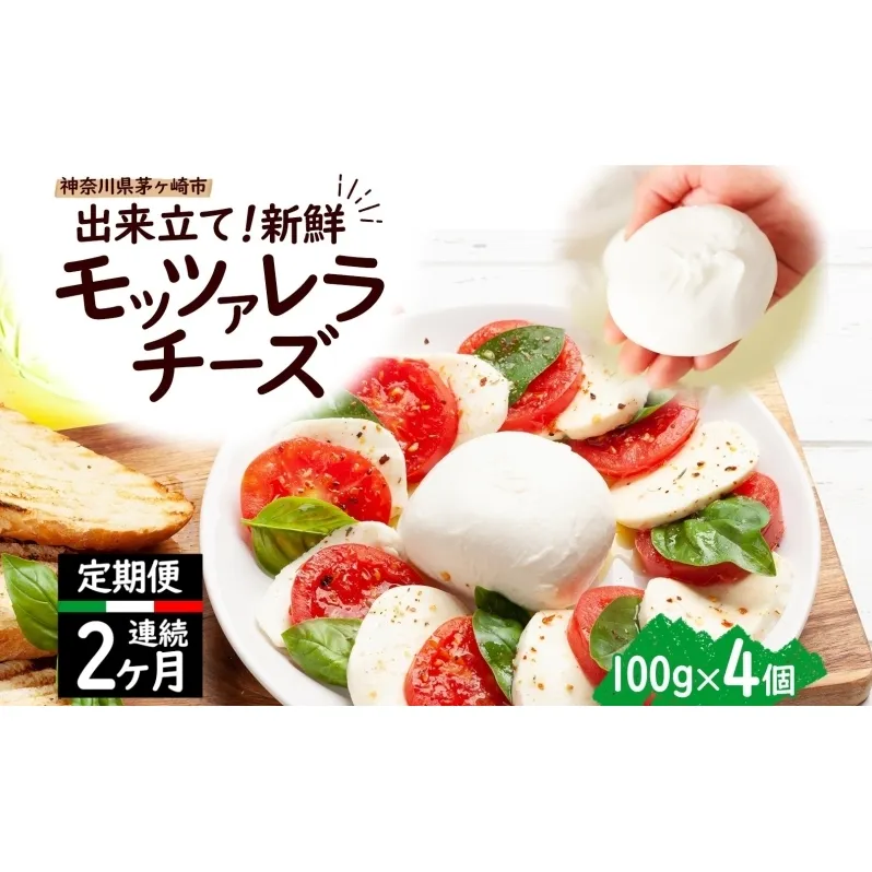 2ヶ月定期便 出来立て新鮮 モッツァレラチーズ100g × 4個セット 茅ヶ崎産 チーズ モッツァレラ 手作り Osteria e Bottega S 神奈川県 湘南 茅ヶ崎市 フレッシュチーズ