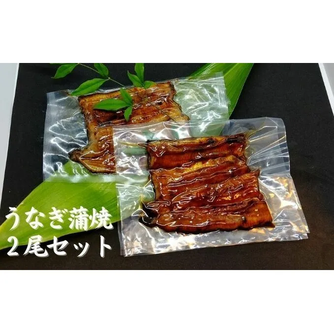 【三河産 鰻】うなぎ蒲焼セット2尾（活魚1本200g×2）