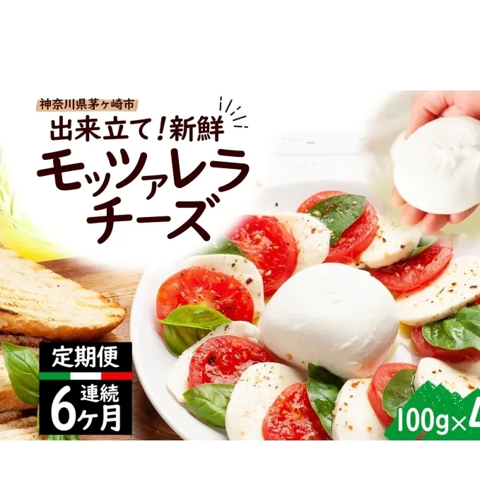  6ヶ月定期便 出来立て新鮮 モッツァレラチーズ100g  ×  4個セット 茅ケ崎産 加工食品 乳製品 チーズ 出来立て 神奈川県産 モッツァレラ 手作り Osteria e Bottega S 神奈川県 湘南 茅ケ崎 フレッシュチーズ  おつまみ ピザ