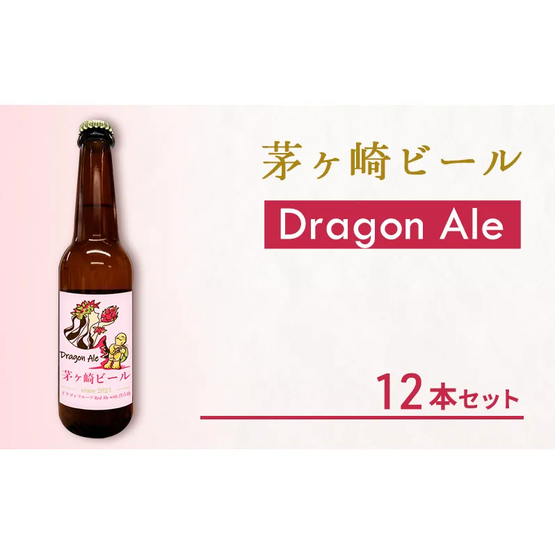 茅ヶ崎ビール (Dragon Ale) 12本セット　【お酒　ビール　クラフトビール　瓶入り　化粧箱入り】