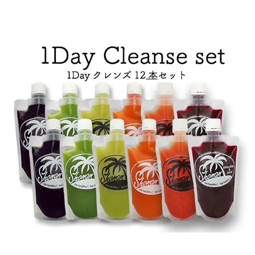 冷凍コールドプレスジュース 1DAYクレンズ 12本セット 飲料類 野菜飲料 