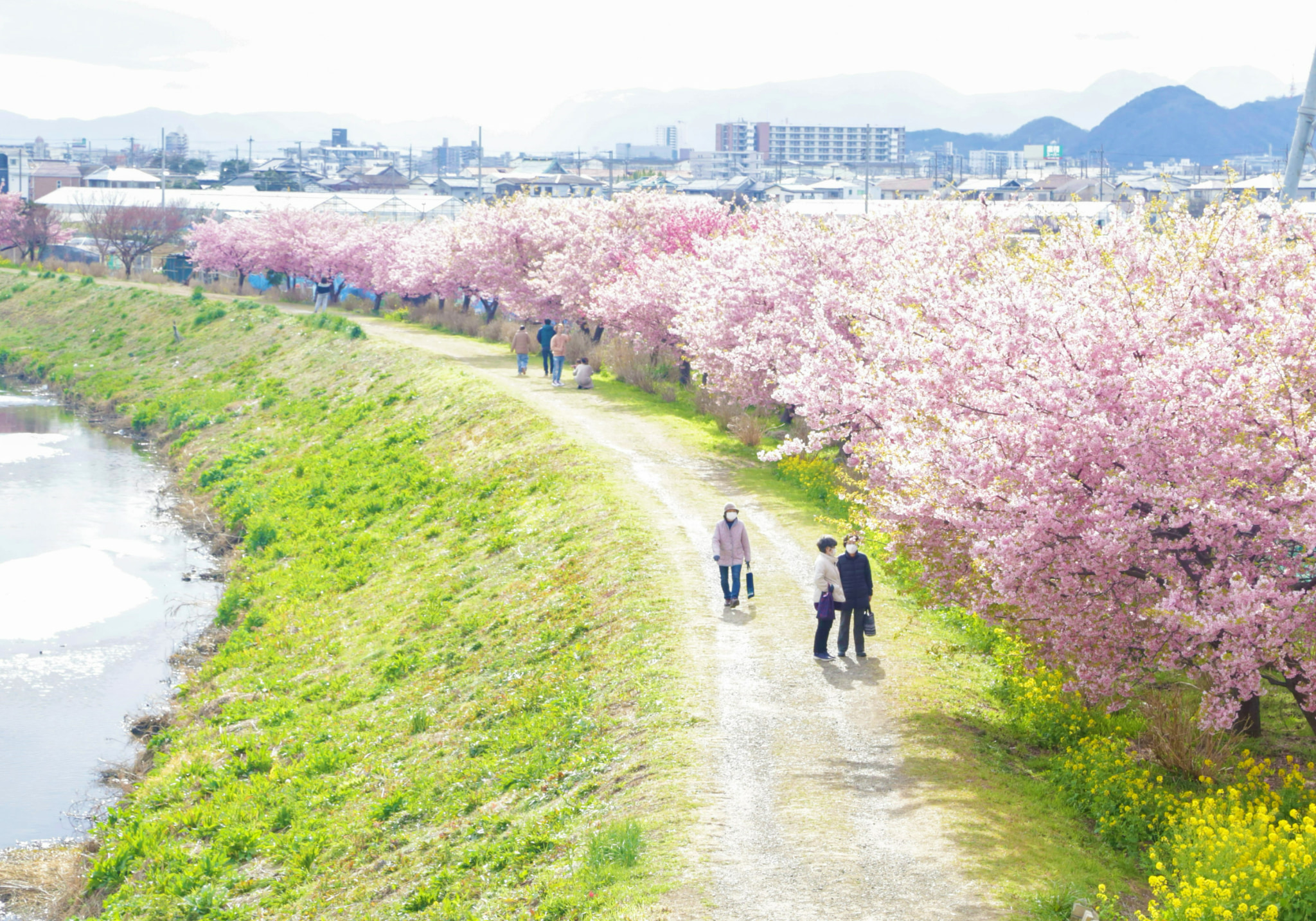 小出川