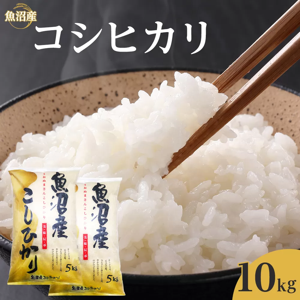 魚沼産コシヒカリ　10kg　2024年10月〜発送開始｜新潟県　魚沼　こしひかり　令和6年産