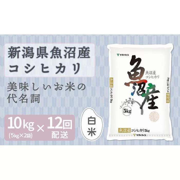 【定期便全12回】新潟県魚沼産コシヒカリ10kg