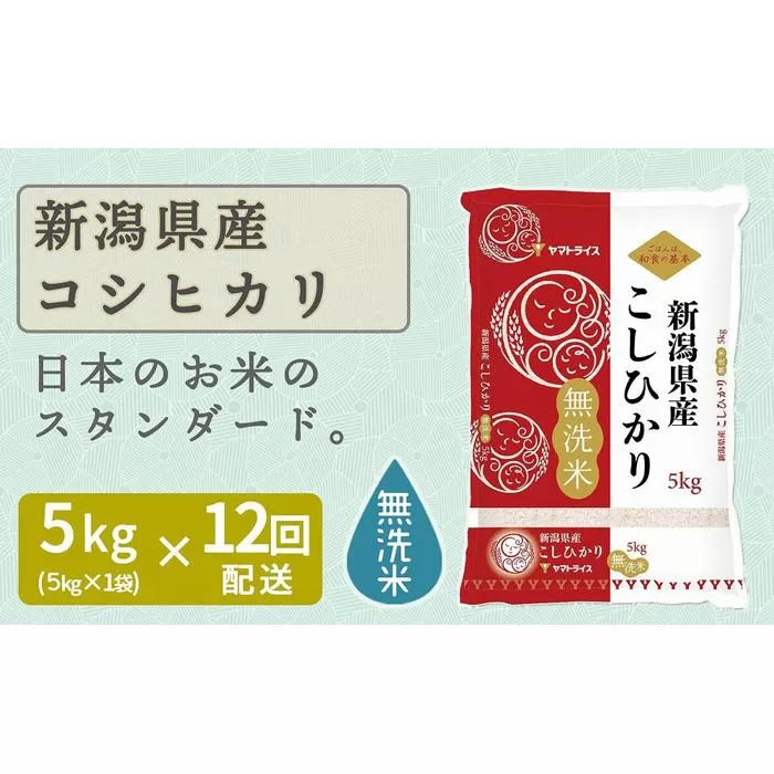 【定期便全12回】無洗米新潟県産コシヒカリ5kg