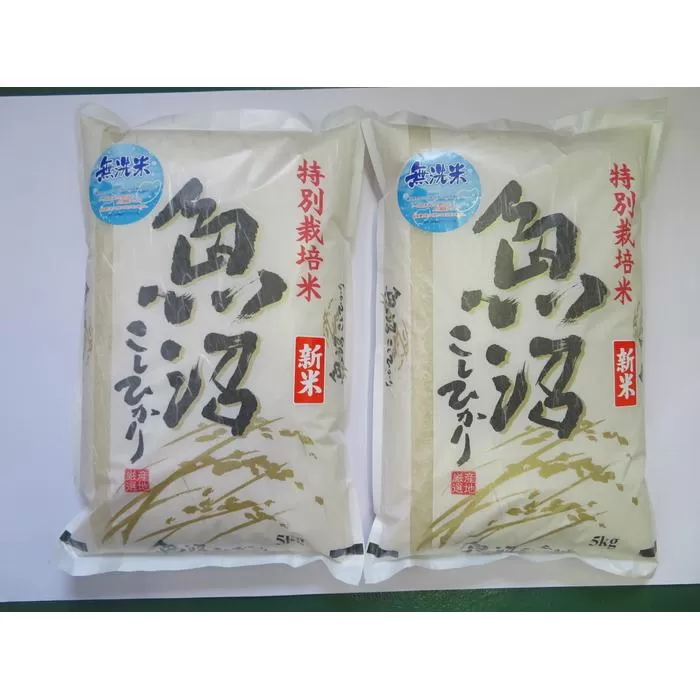 無洗米　魚沼産コシヒカリ特別栽培米　5kg×2