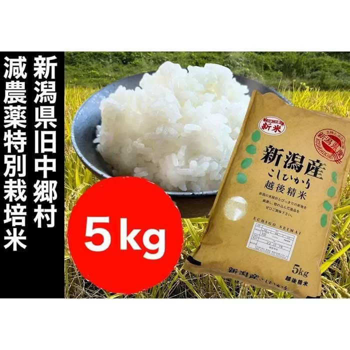 【令和５年度産】新潟県減農薬特別栽培米コシヒカリ 5kg