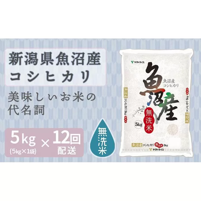 【定期便全12回】無洗米新潟県魚沼産コシヒカリ5kg