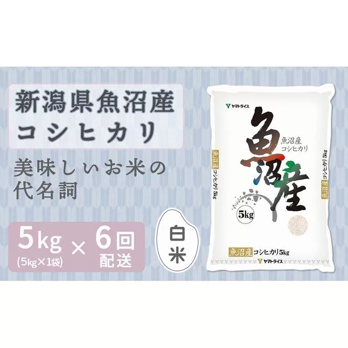 【定期便全6回】新潟県魚沼産コシヒカリ5kg