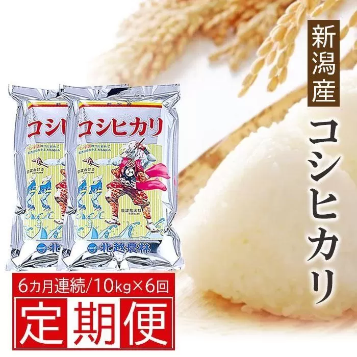 新米予約【6ヶ月定期便 毎月10kg】 新潟産コシヒカリ5Kg×2 令和6年産