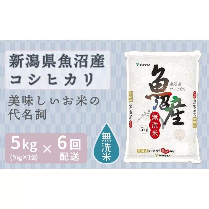 【定期便全6回】無洗米新潟県魚沼産コシヒカリ5kg