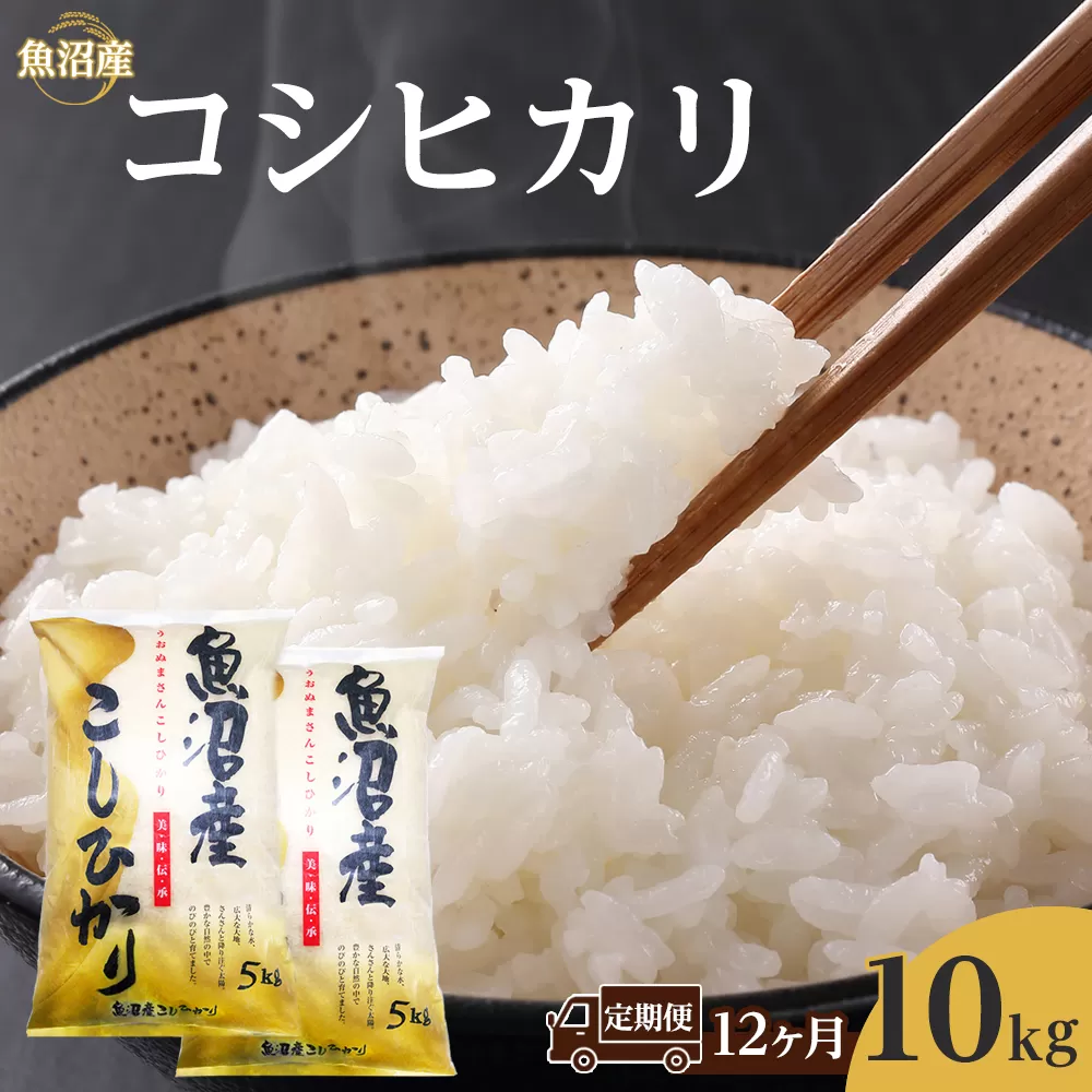 【12ヶ月定期便】魚沼産コシヒカリ　10kg　2024年10月～発送開始｜新潟県　魚沼　こしひかり　令和6年産