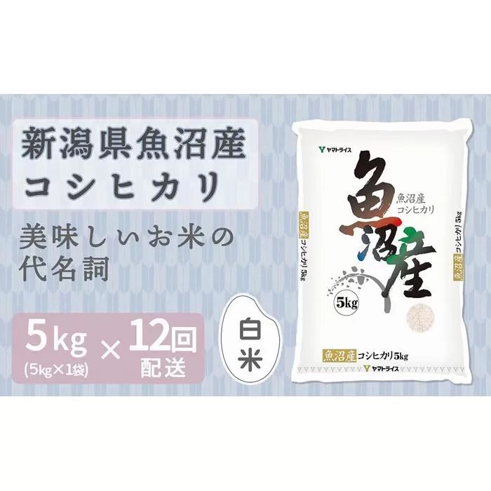 【定期便全12回】新潟県魚沼産コシヒカリ5kg