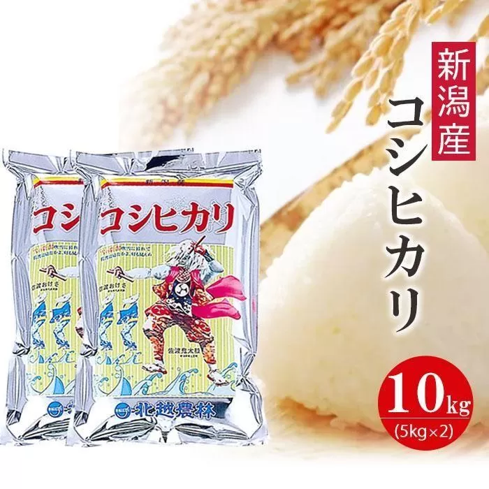 【新米予約】 新潟産コシヒカリ10kg 令和6年産 〈9月下旬頃発送予定〉