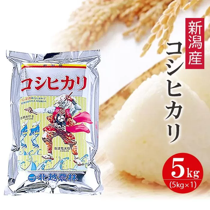 【新米予約】 新潟産コシヒカリ5kg 令和6年産 〈9月下旬頃発送予定〉