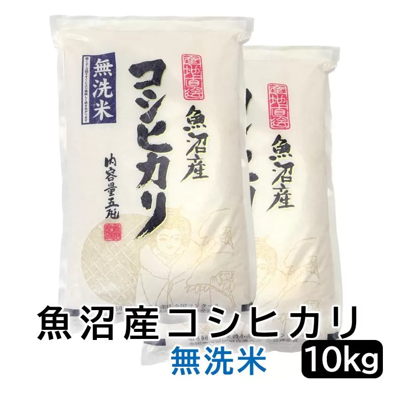 【令和6年産無洗米】お米マイスター厳選！魚沼産コシヒカリ　10kg(5kg×２)