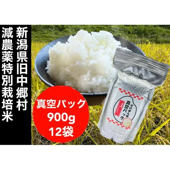 【令和５年度産】新潟県減農薬特別栽培米 そのまんま真空パック  900ｇ×12袋セット