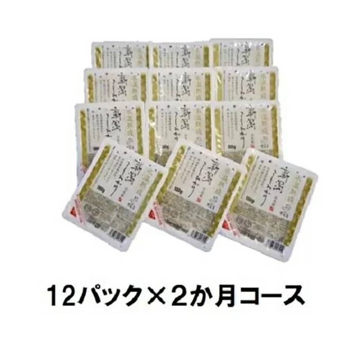 ★定期便 【氷温熟成】新潟産こしひかりパックご飯１２P×2か月コース