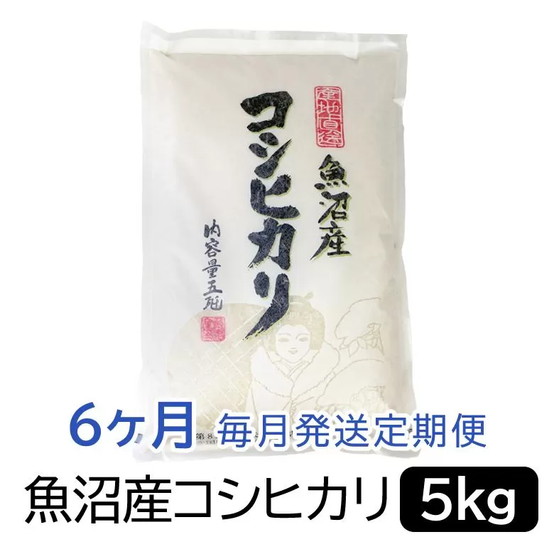 【令和6年産】お米マイスター厳選！魚沼産コシヒカリ５kg×6ヶ月毎月発送　定期便