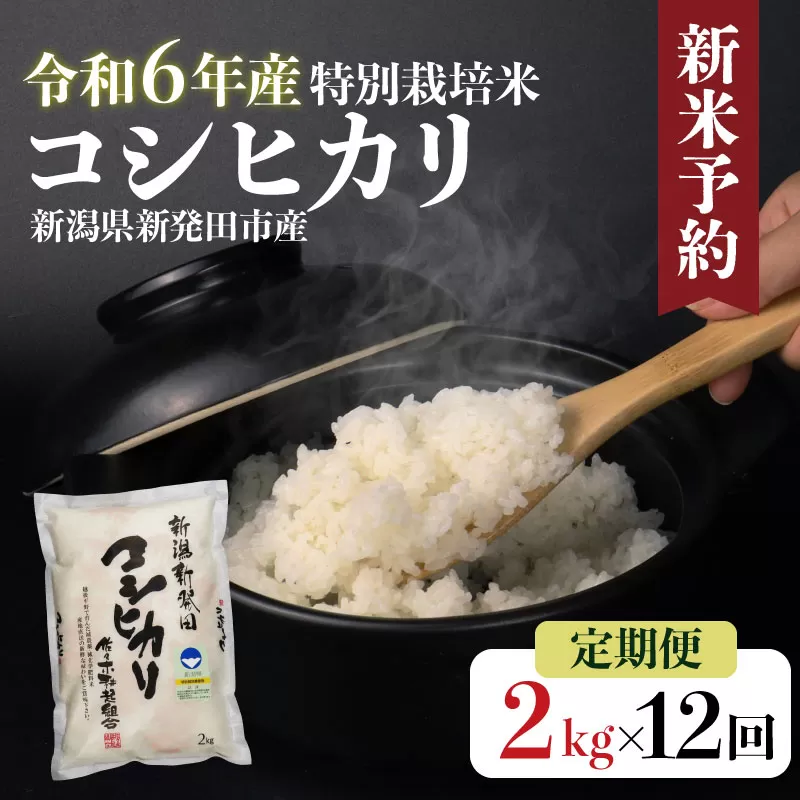 【定期便】 令和6年産 特別栽培米 コシヒカリ 2kg×12ヵ月 【 新潟県 新潟産 新発田産 米 コシヒカリ 佐々木耕起組合 2kg 12ヵ月 定期便 特別栽培米 D20_001 】