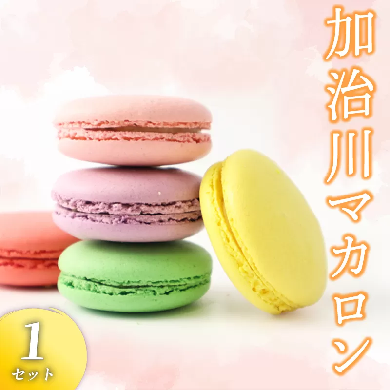 マカロン 1セット 【 イチジク 枝豆 桜 苺 はちみつ レモン いちご えだまめ 洋菓子 菓子 お菓子 スイーツ 甘味 ギフト プレゼント お土産 正和 新潟県 新発田市 showa001 】