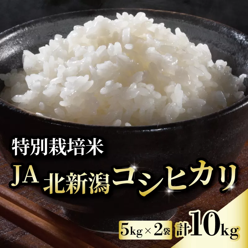 令和5年産 JA北新潟コシヒカリ 特別栽培米 5kg×2袋 【 新潟県産 新発田産 米 コシヒカリ JA北新潟 特別栽培米 5kg 2袋 D04 】