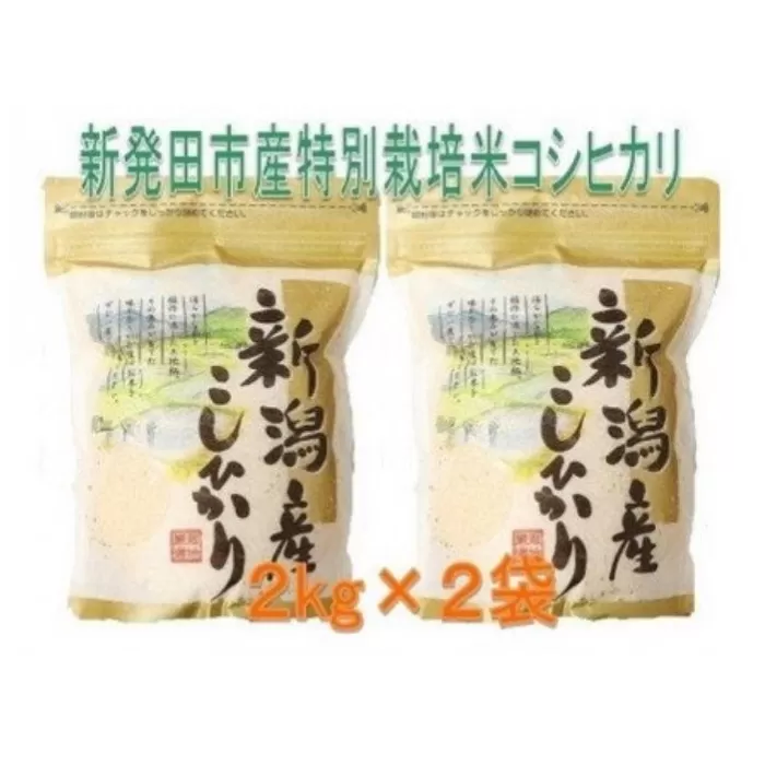 令和5年産 特別栽培米 コシヒカリ 2kg×2袋 【 新潟県産 新発田産 コシヒカリ 特別栽培米 2kg 2袋 4kg D31 】